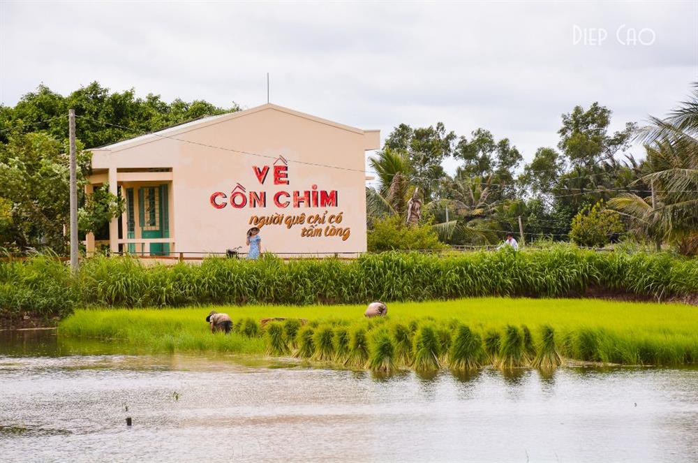 The Ultimate Travel Guide to Bird Islet (Con Chim, Tra Vinh)